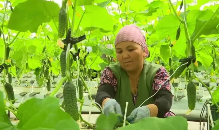 640 (29).png 640 (29).png